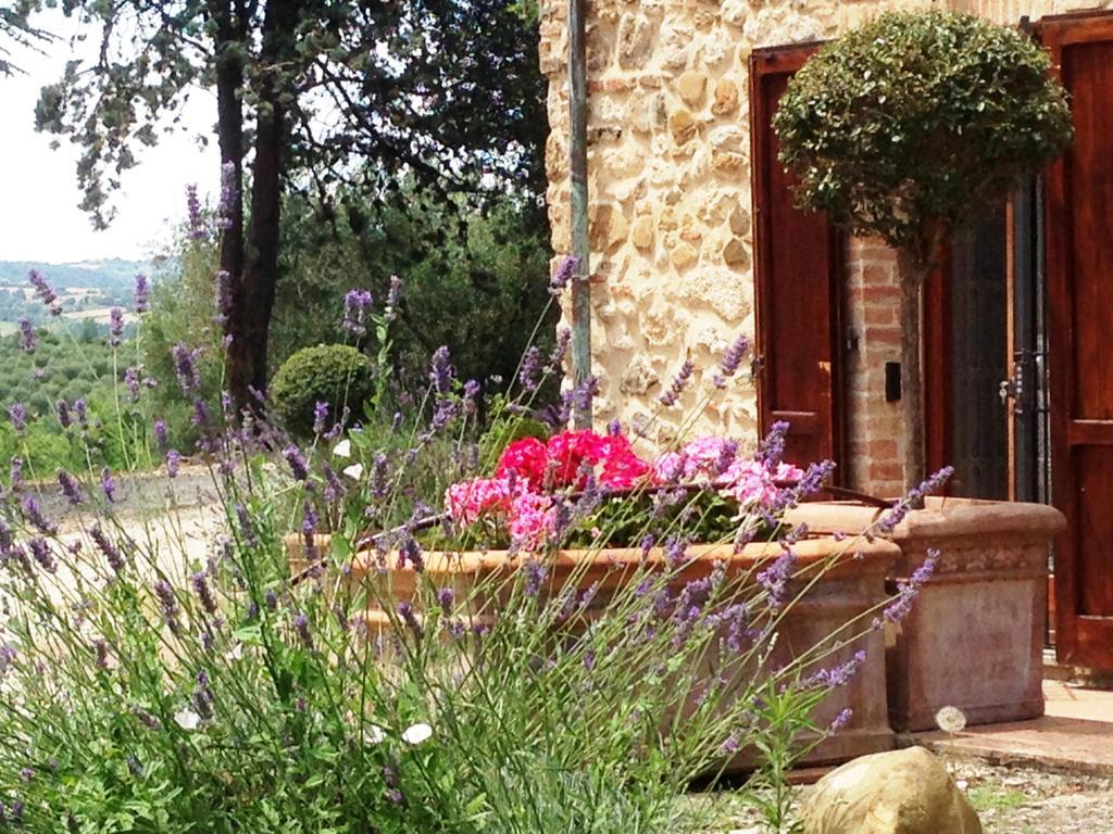 Poggio Cantarello Vacanze Chiusi Exteriör bild