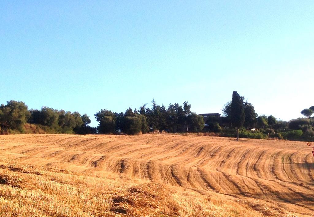 Poggio Cantarello Vacanze Chiusi Exteriör bild