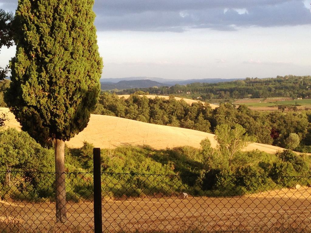 Poggio Cantarello Vacanze Chiusi Exteriör bild
